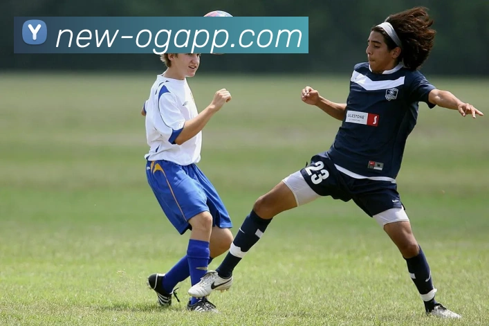 OG真人平台生态图