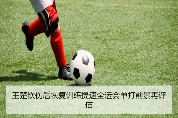 王楚钦伤后恢复训练提速全运会单打前景再评估